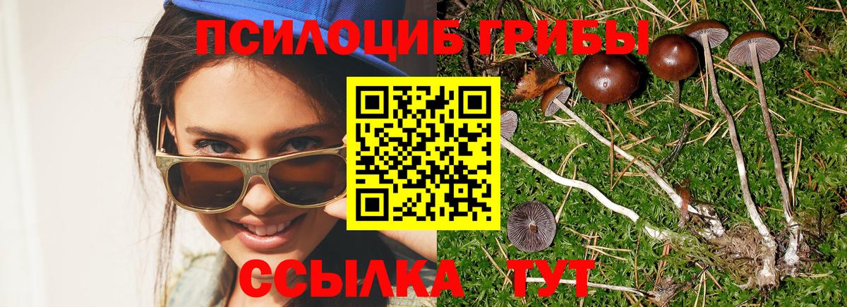 Галлюциногенные грибы GOLDEN TEACHER  Вход с VPN  Псилоцибиновые грибы мицелий  Приморско-Ахтарск 